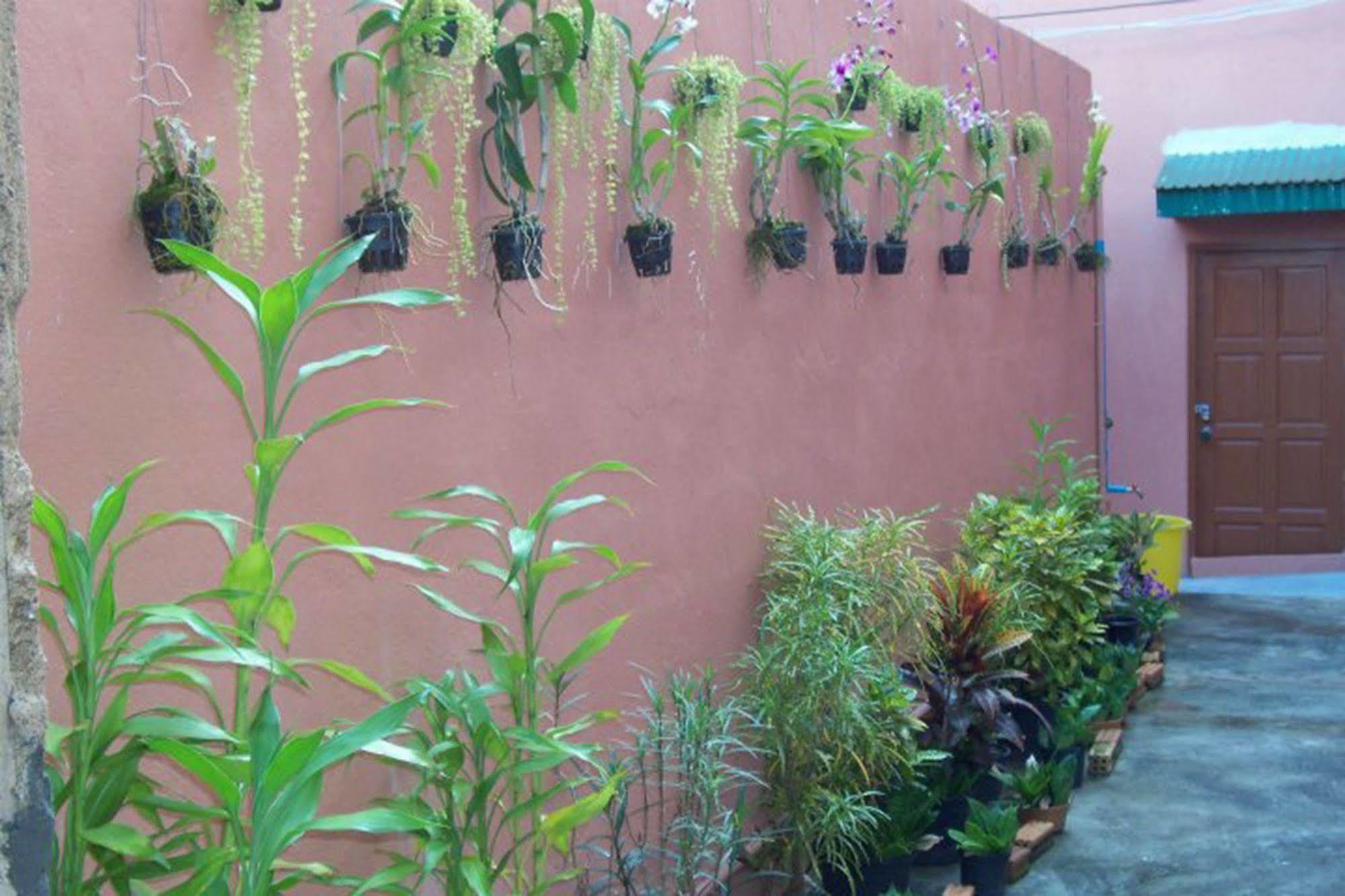 D's Corner & Guesthouse Phuket Eksteriør billede